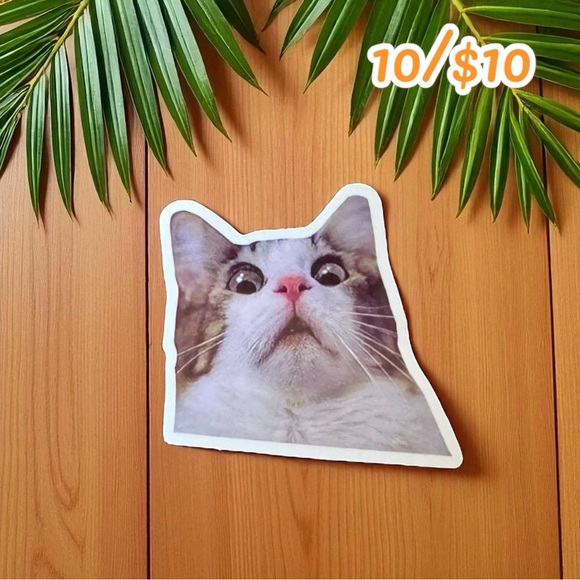Surprised Cat Meme Vinyl Sticker – Funny Shocked Expression - Picture 1 of 1